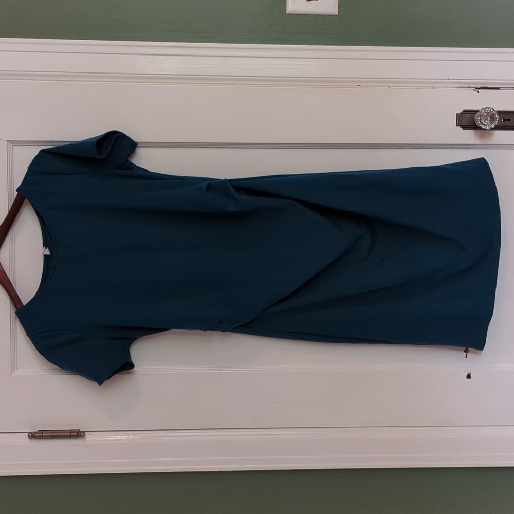 Pinkblush maternity dress